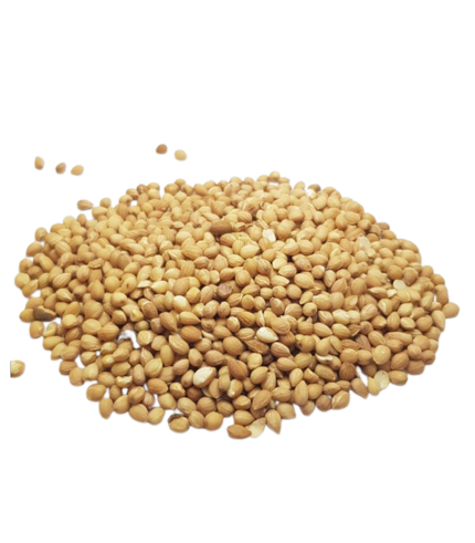 MAHLLAB SEED 1 KG