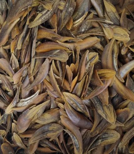 Dapur-  Per Tola Price